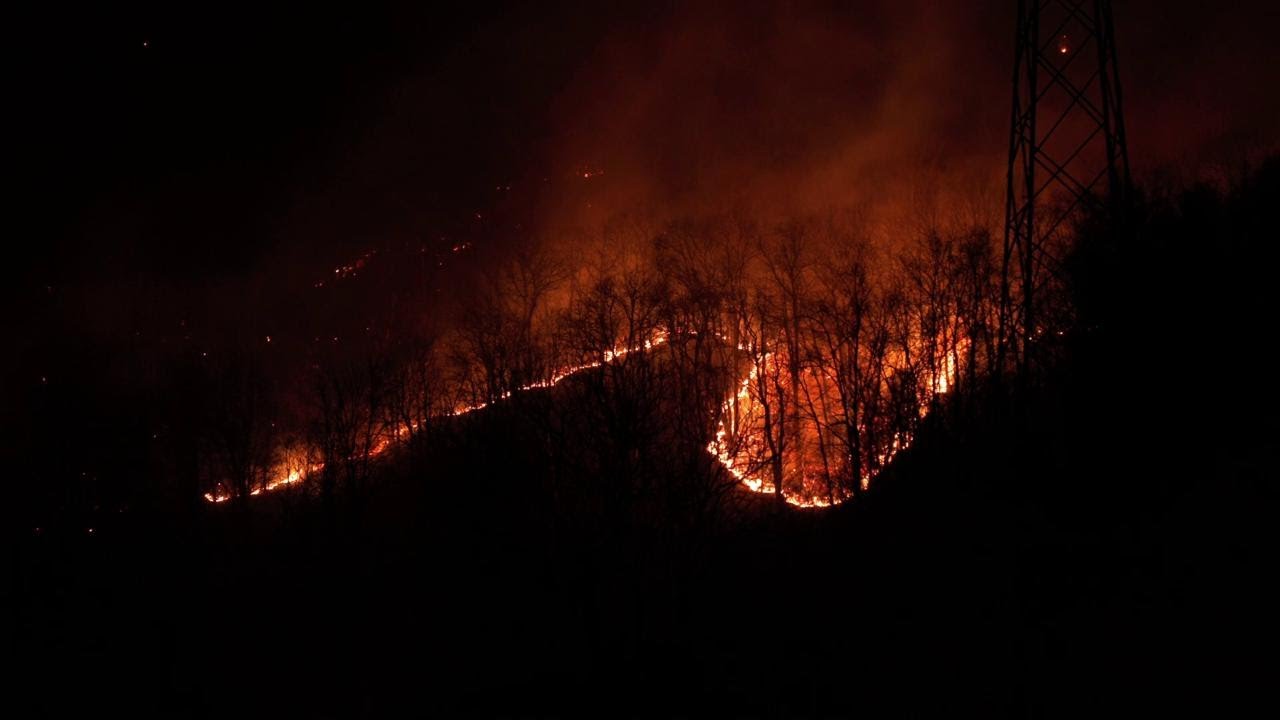 Torino, incendio tra Andrate e Donato:la lingua di fuoco avanza tra i boschi