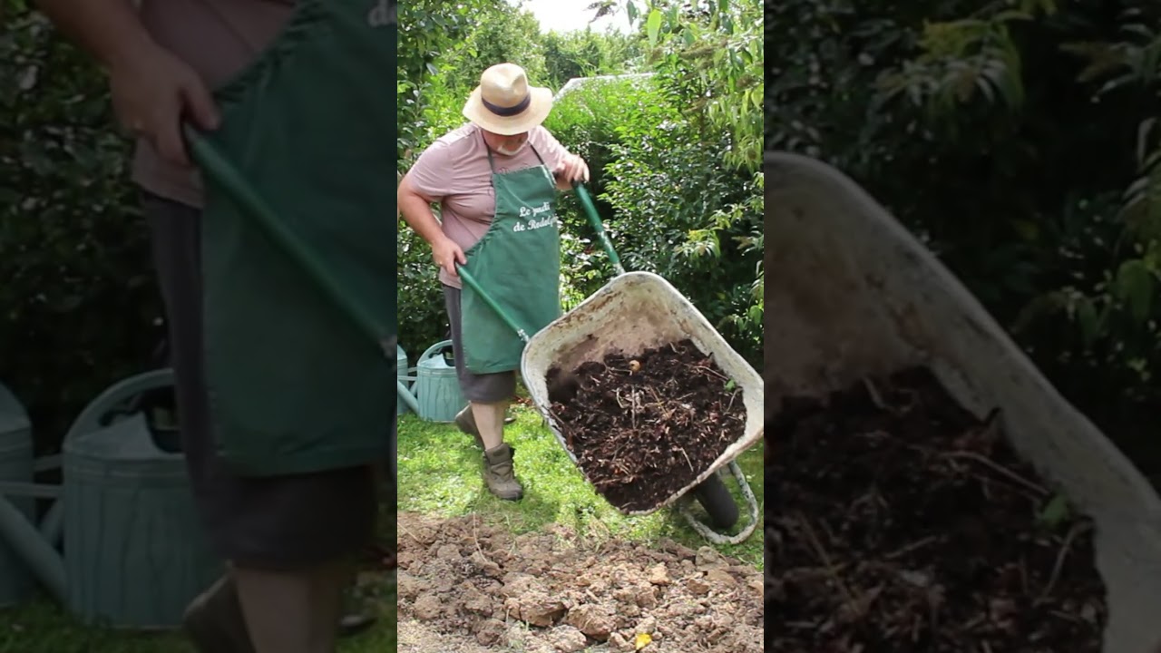 10 conseils pratiques et astuces #jardin #potager #permaculture #garden #naturelovers #agriculture