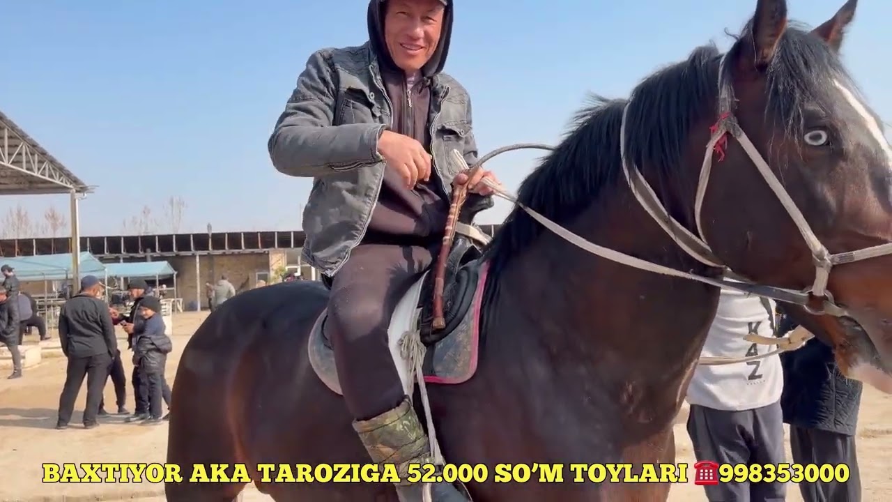 17 марта 2026 г.