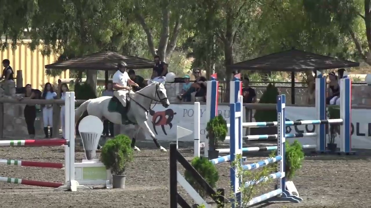 Nikos Drougas + Grey Capitol, Class: 1.05m, 9os agwnas YE @ &Iota;&Omicron;KOUV 2-7-2022