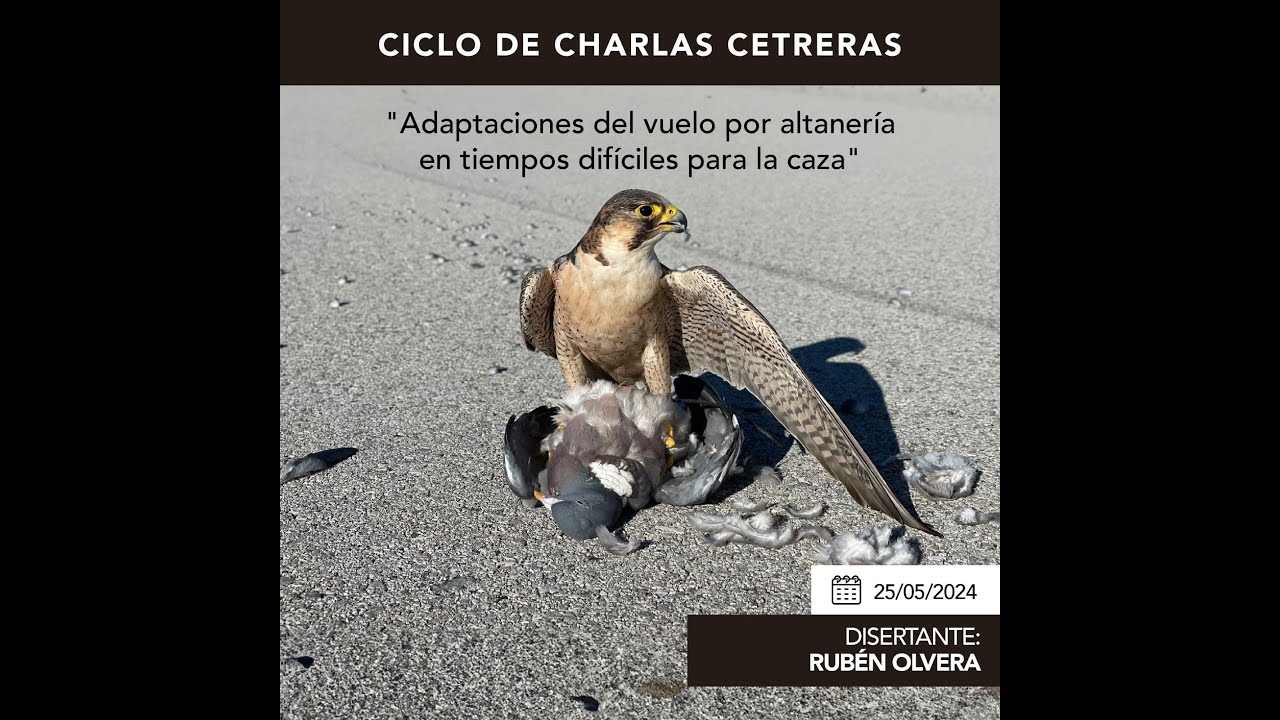 CHARLA Nº 4 RUBÉN OLVERA RODRIGO 