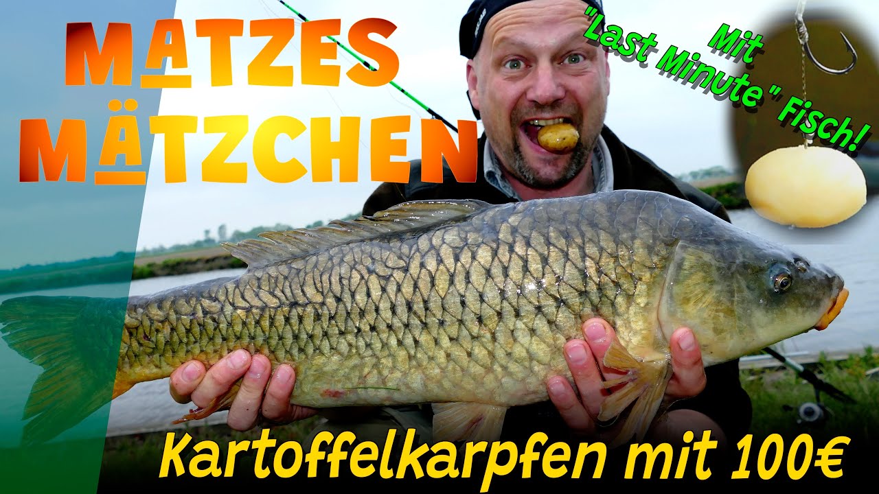 Matzes Mätzchen - Kartoffelkarpfen mit 100€