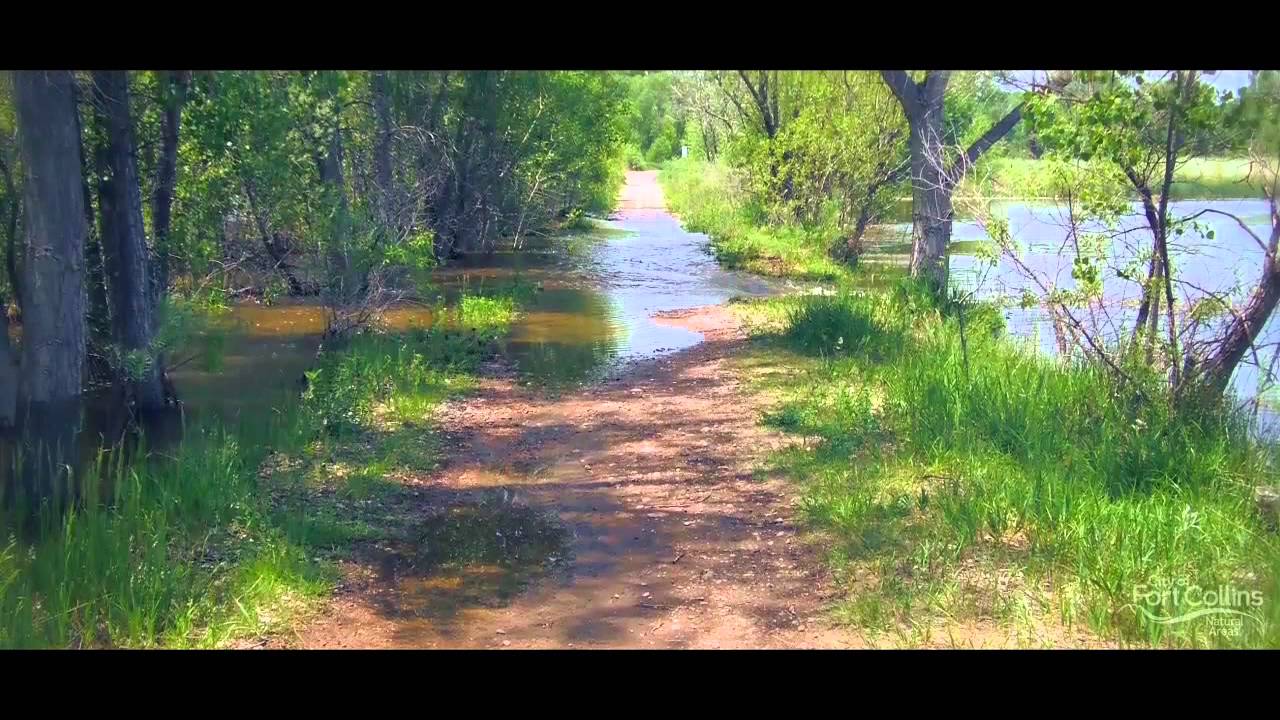 The Poudre River Restoration