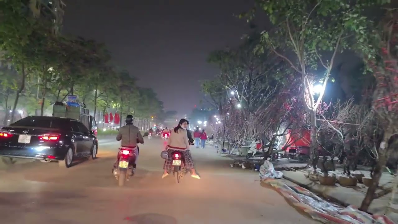 Cảnh đào rừng bạt ngàn ko ai Chốt. Giá quất thì qúa cao