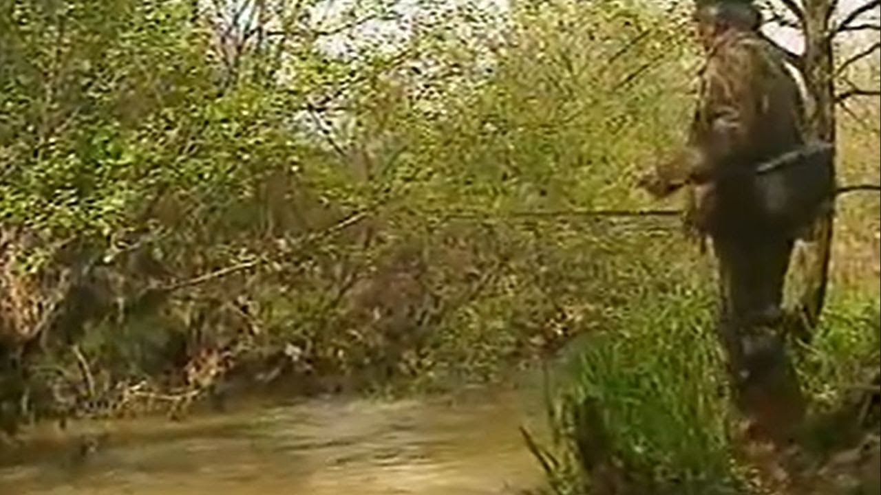 Pêche Passion : La truite en Mayenne