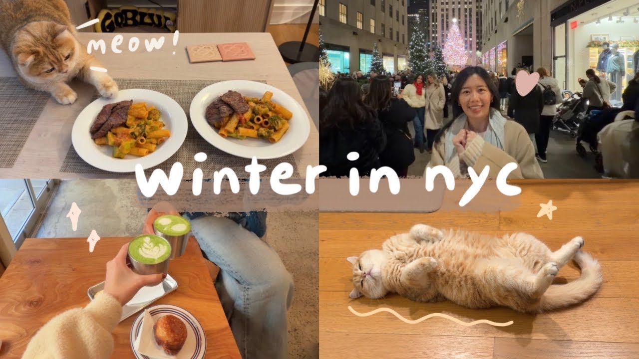 vlog ⛄️ | 可愛橘貓來借住😻、紐約最美聖誕樹🎄、黑五戰利品分享👀、貓奴煮婦的日常👩🏻‍🍳