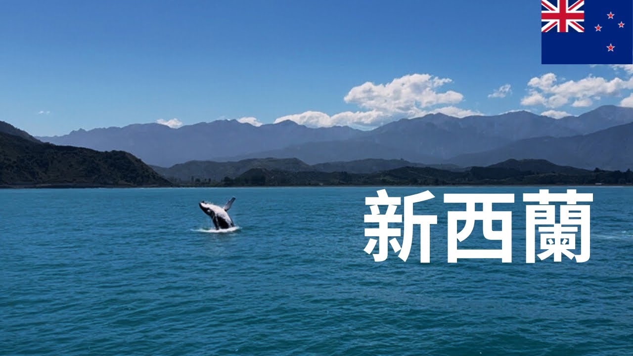 🇳🇿Ep.3我錯了新西蘭！原以為你是個鳥不拉屎的地方原來你這麼美｜New Zealand South Island｜Kaikōura Whale Watching 🐋