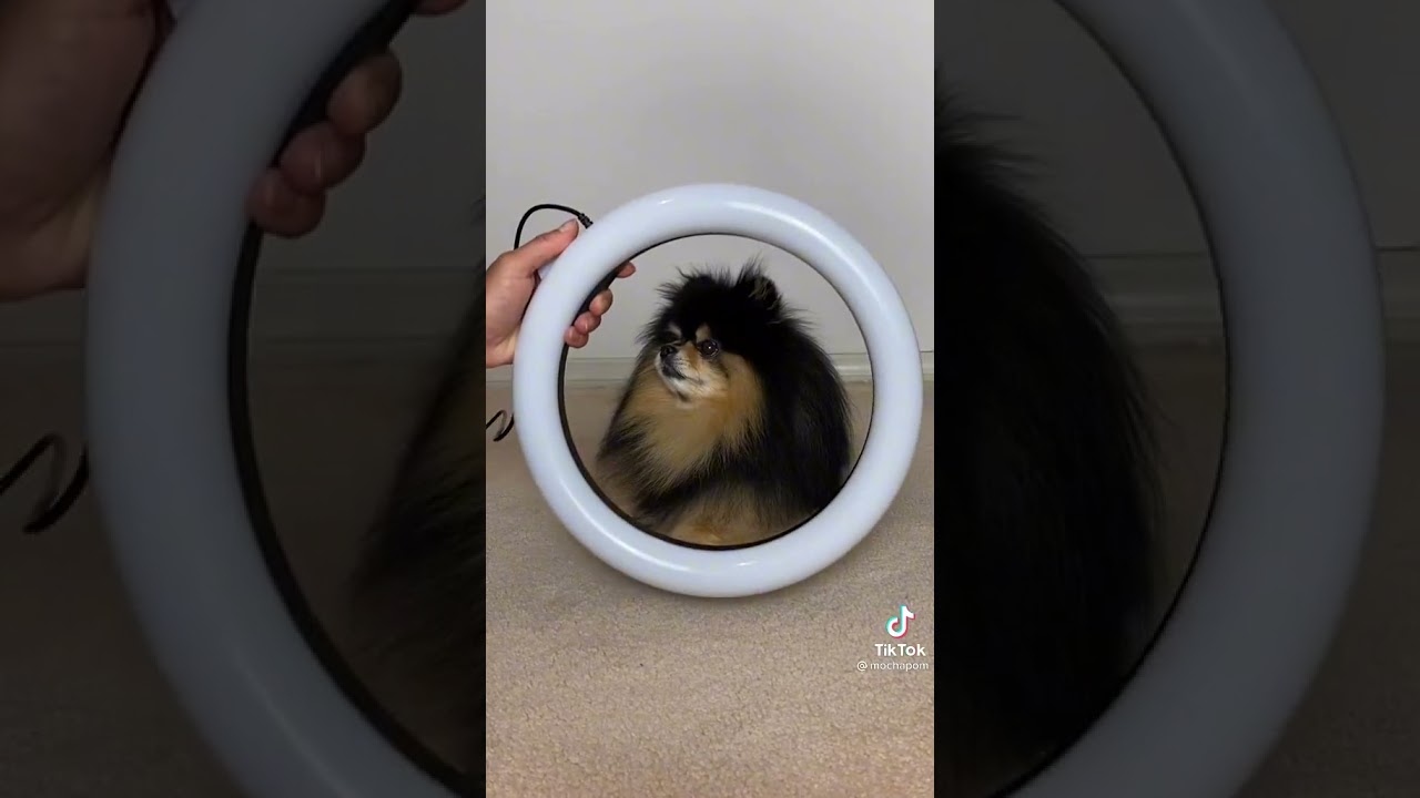 Yeontan joined the trend 😩🥺🥰#bts #yeontan #taehyung