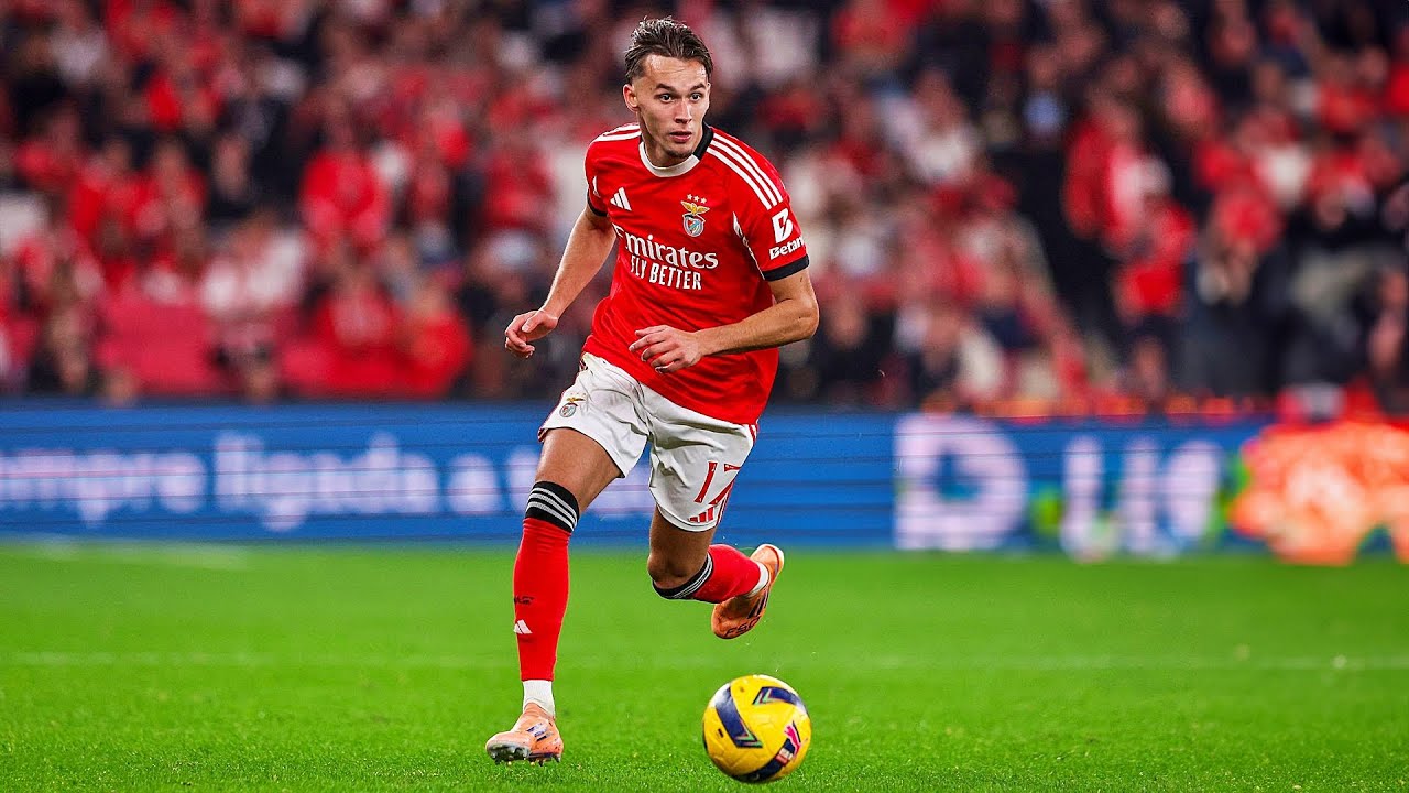 𝐋𝐎𝐎𝐊 𝐖𝐇𝐀𝐓 Amar Dedić is doing at SL Benfica⚡