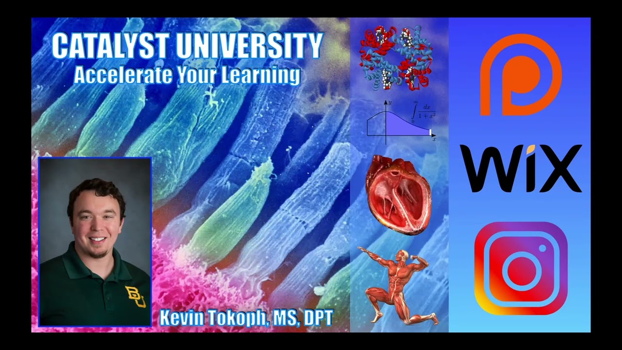 Тесты на нагрузку бицепса (II и I) | Обоснование и интерпретация