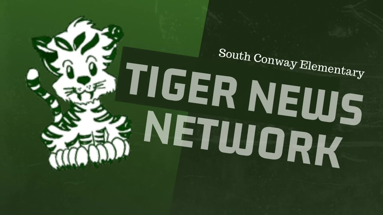 Tiger News Network