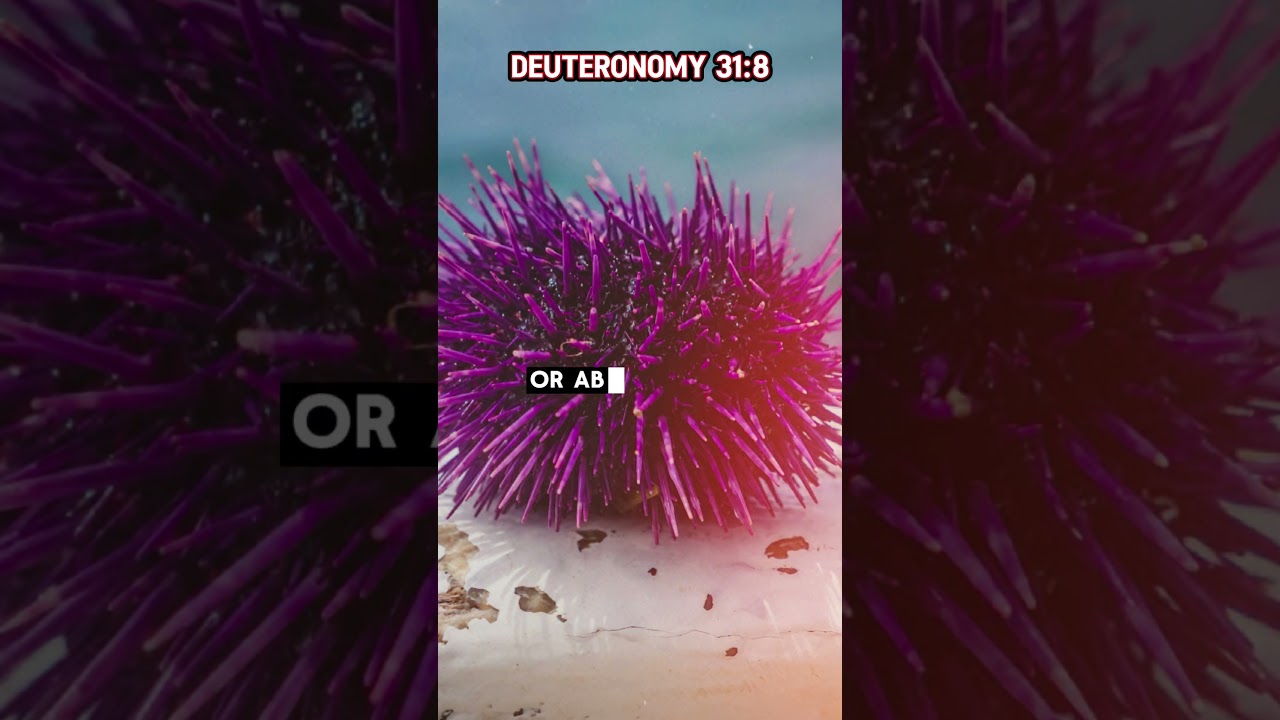 Deuteronomy 31:8-God Goes Before You| A Message of Courage & Faith #walkingwithgod #hispath