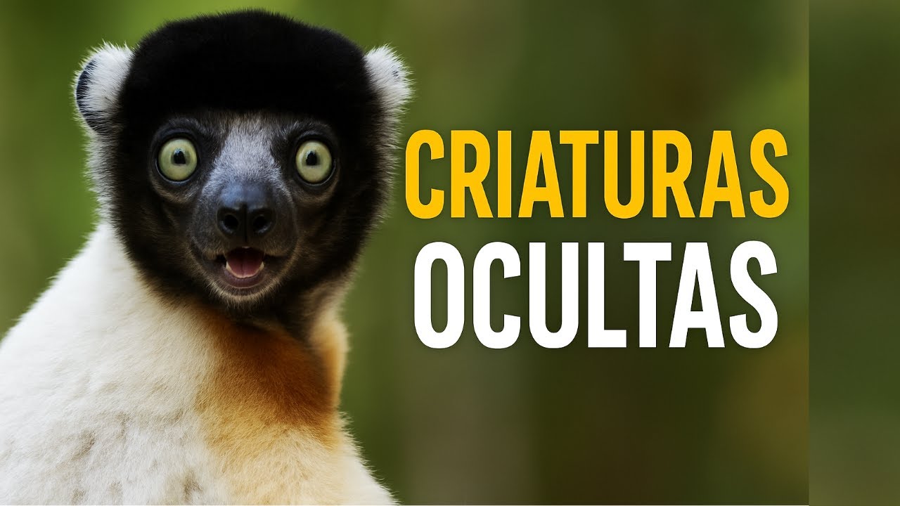 Bichos que Voc&ecirc; Nem Sabia que Existiam: Criaturas Incr&iacute;veis e Pouco Conhecidas 🔎