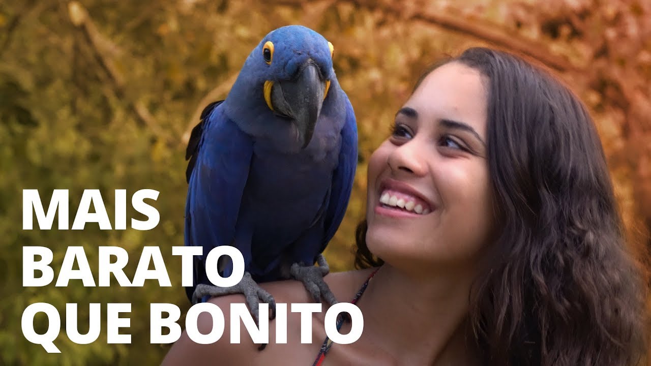 BODOQUENA: UM LUGAR PRA LÁ DE BONITO | Traveleiros