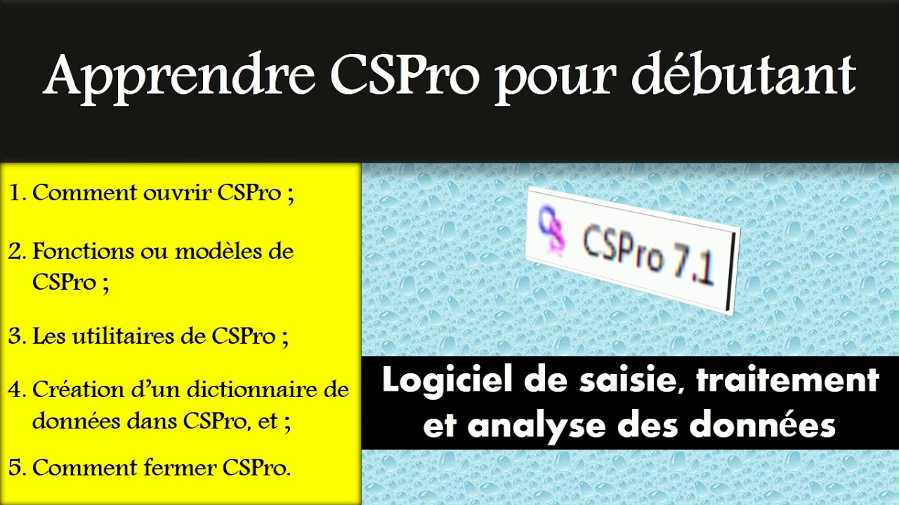 Tuto 1 : CSPro pour débutant,  apprendre pas à pas