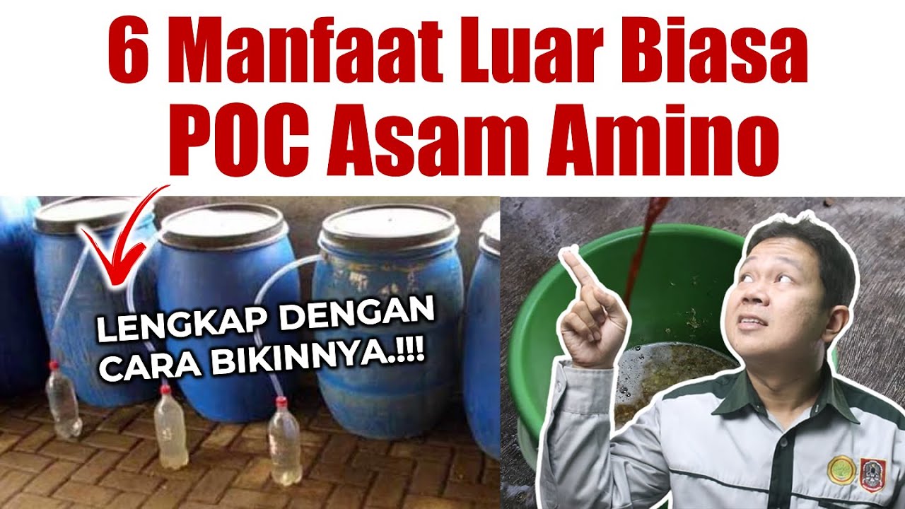 6 MANFAAT LUAR BIASA PUPUK ORGANIK CAIR PALING KAYA ASAM AMINO LENGKAP CARA BIKINNYA