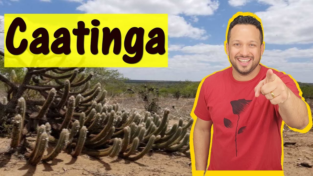 Caatinga - Caracter&iacute;sticas gerais, Fauna, Flora e Adapta&ccedil;&otilde;es - Bioma Brasileiro - Ecologia