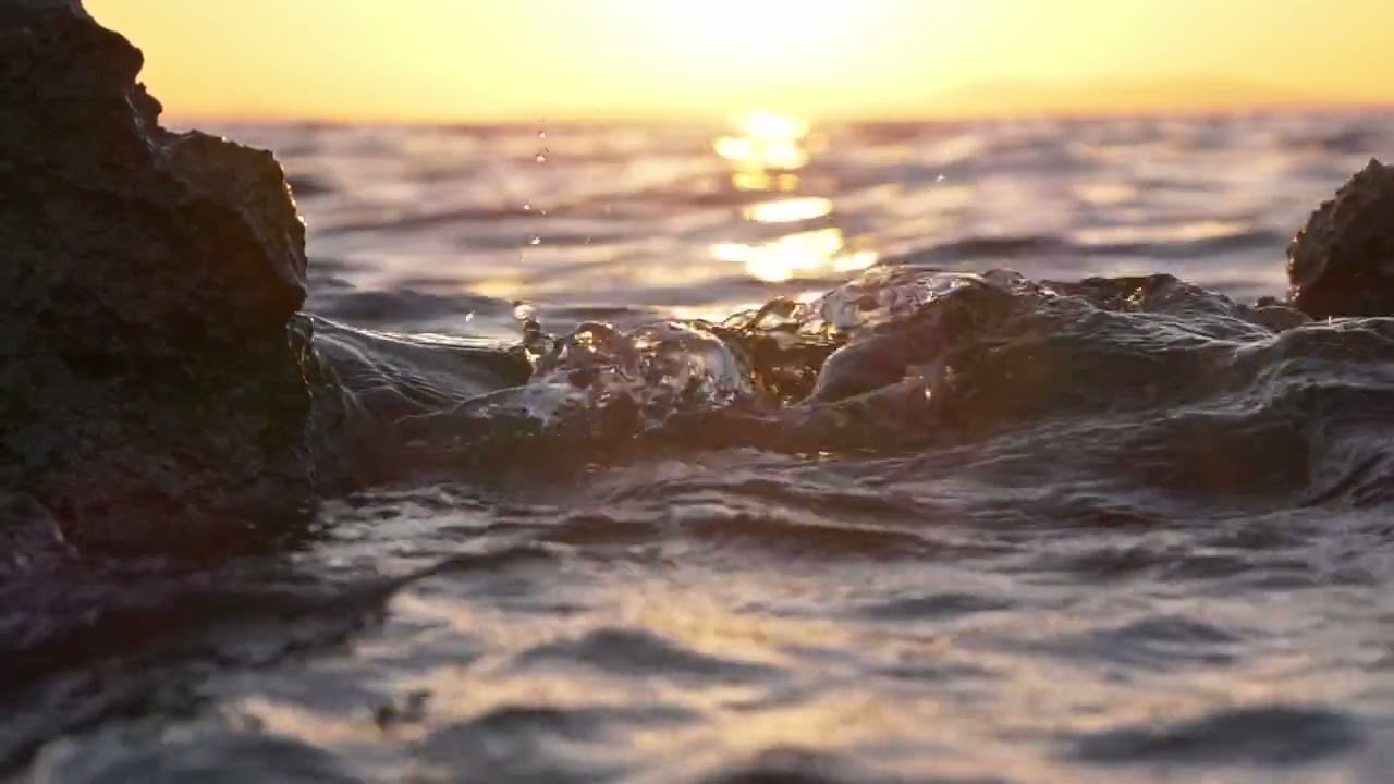 Happiness comes in waves | Beach vibes only | Beach life