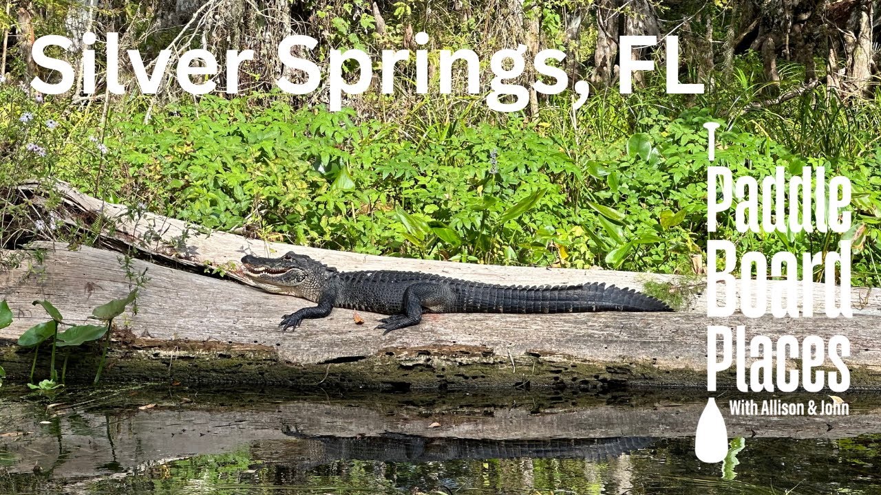 Silver Springs FL Paddleboard Places