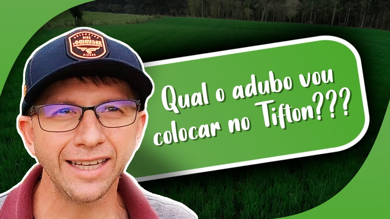 Como fazer uma boa adubação da pastagem de Tifton 85?