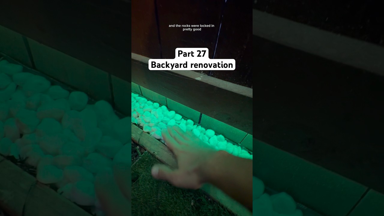 Part 27 #diy #backyardlandscaping #puppy #dog #backyardmakeover #backyard #backyardrenovation