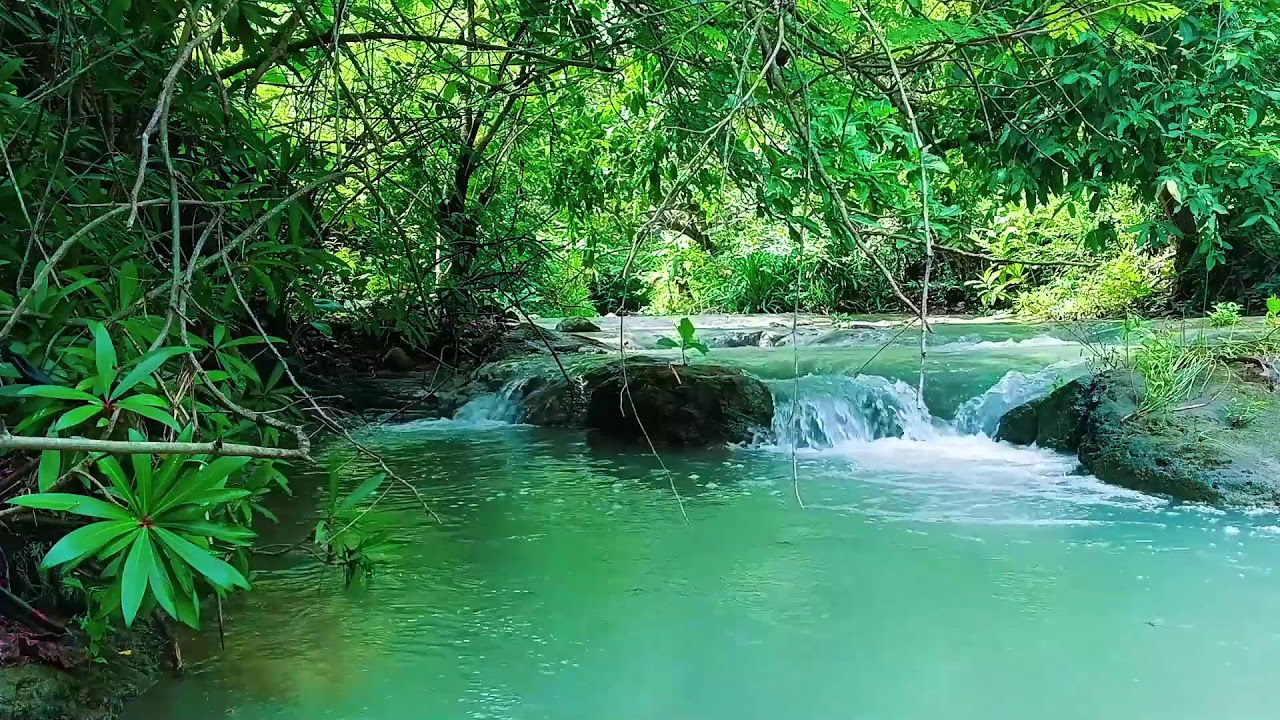 Waterfall Sounds for Relaxing – Mental Detox with Soothing Water