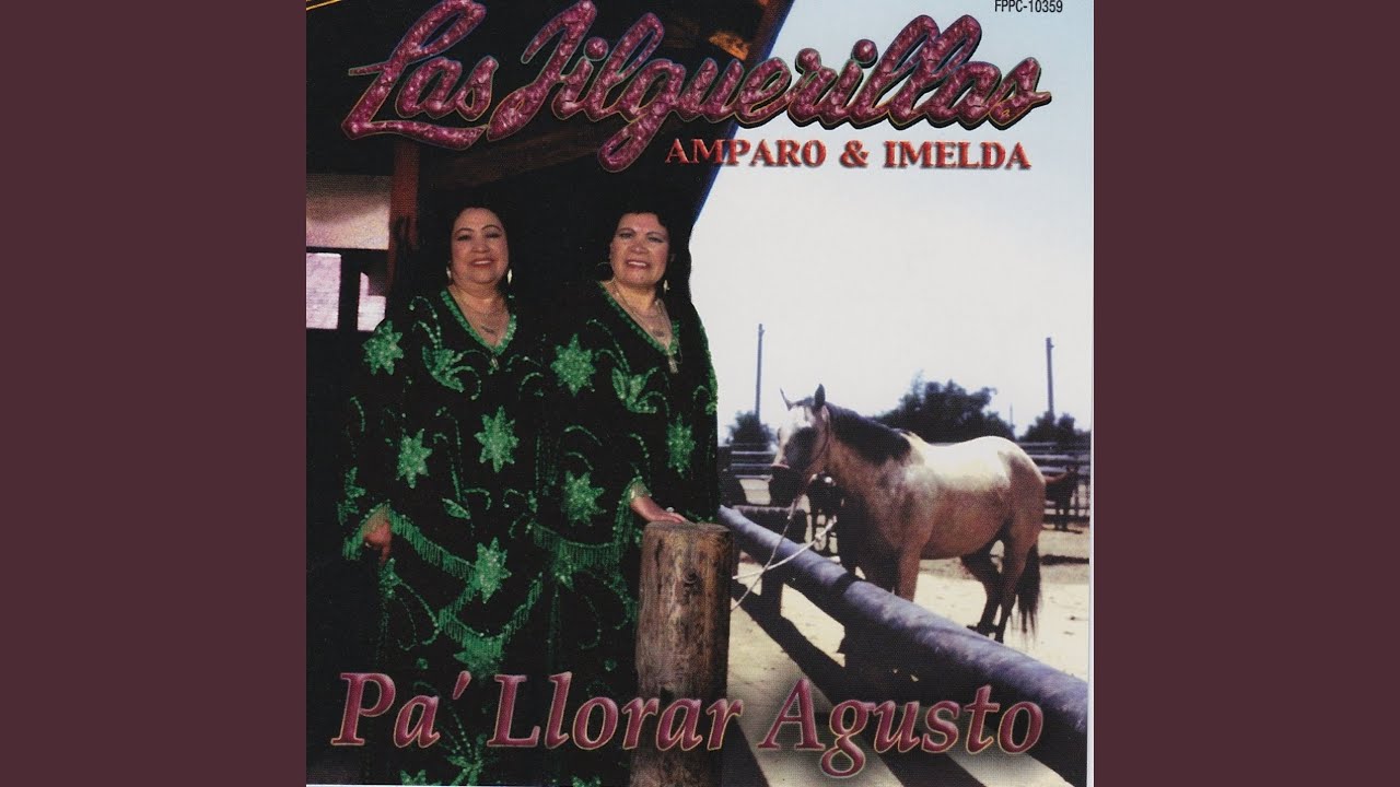 No Puedo M‡s