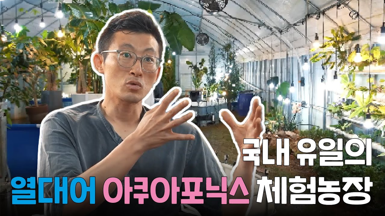 국내 유일의 열대어 아쿠아포닉스 체험농장! 은하농장 장성훈 [전국 내 밭 자랑1]