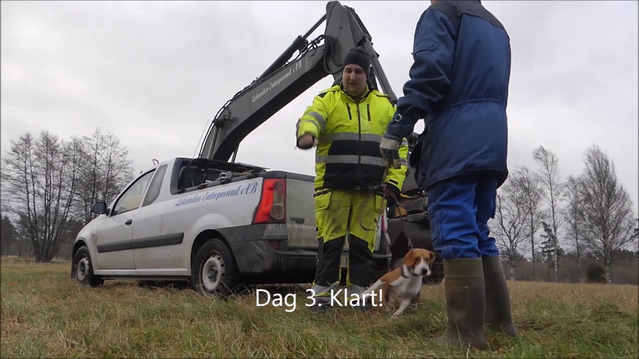 Dikesrensning 2018