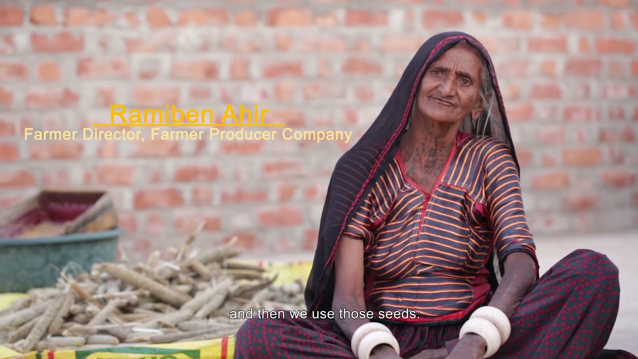 Anmol - Conservation and Promotion of Traditional seeds