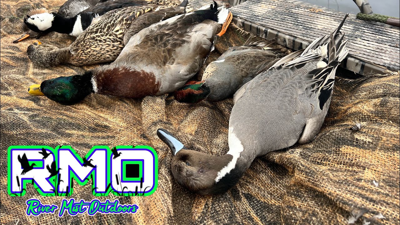 Crazy SC Duck Hunt