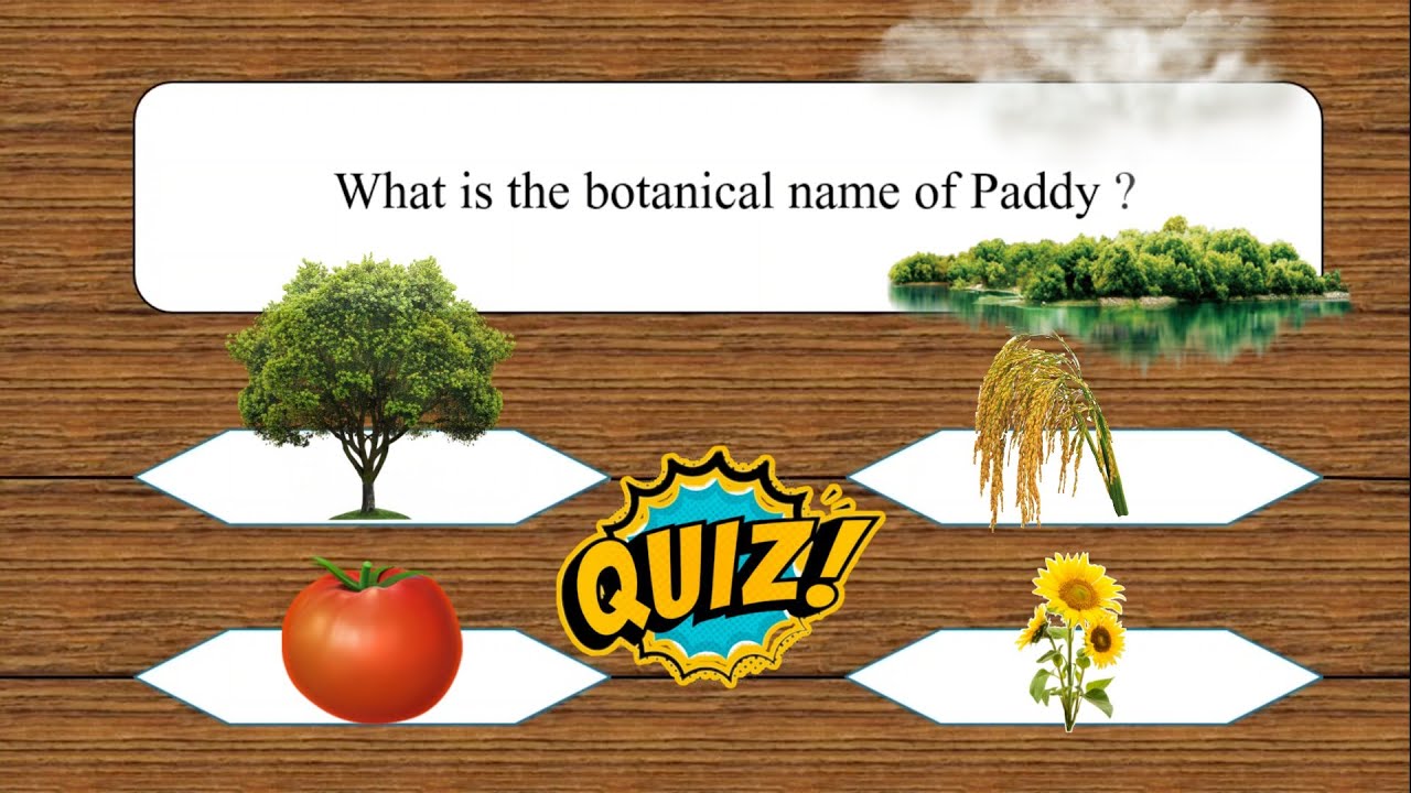 Botany Quiz Part I | General Knowledge Questions | Basic Botany Questions | Science GK Questions