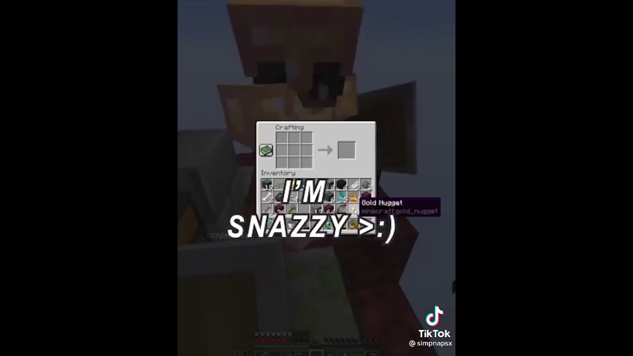 if sapnap had a 30 second trailer