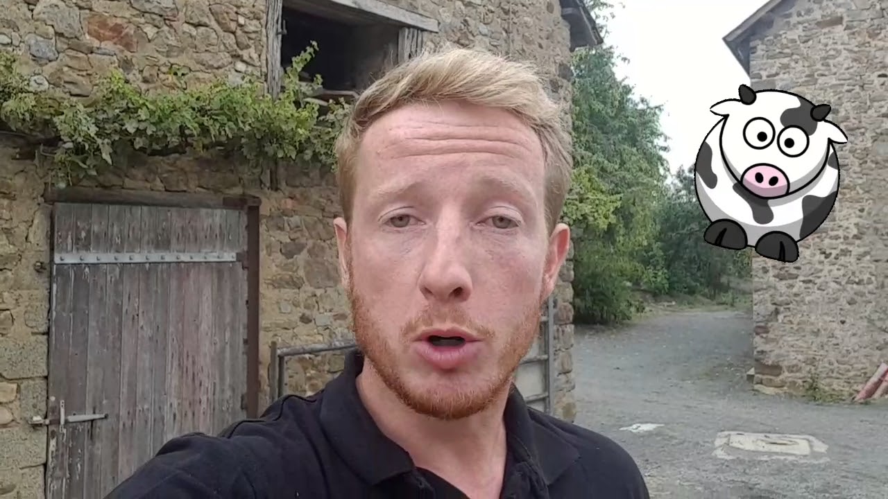Le cycle de reproduction chez la vache laiti&egrave;re