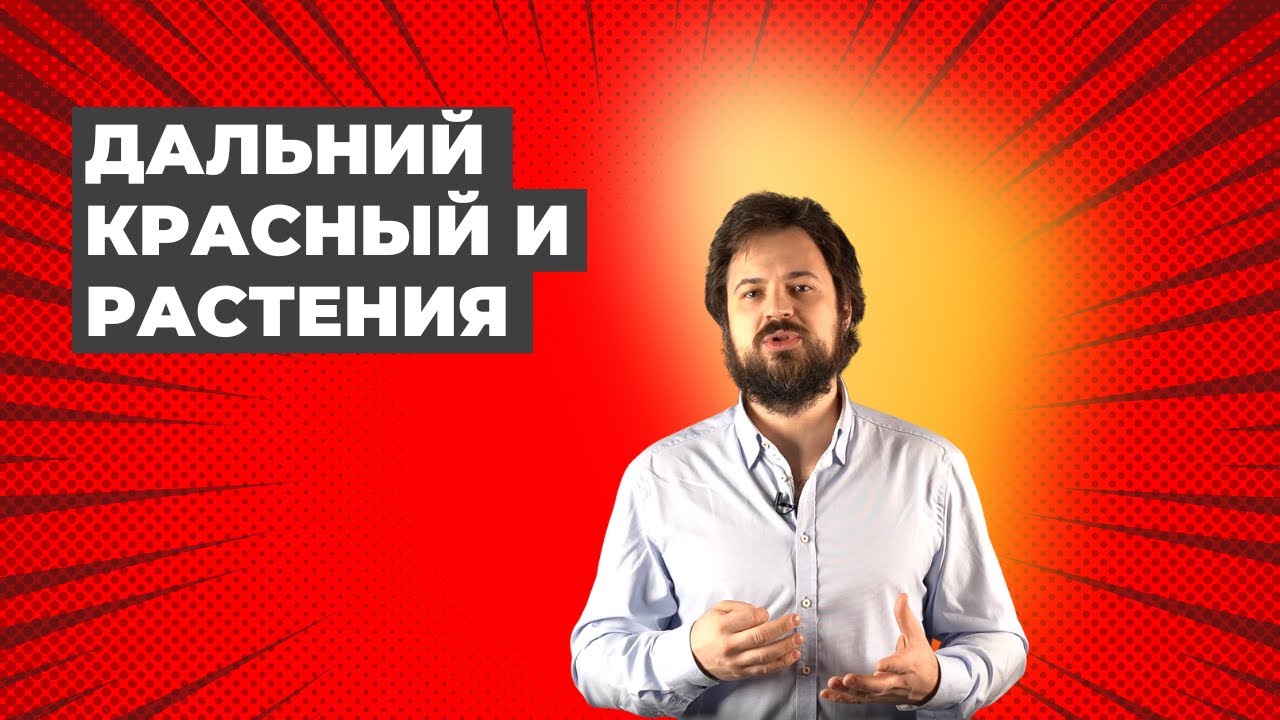 Невидимое глазу. Часть 2. Воздействие Дальнего Красного на растения.