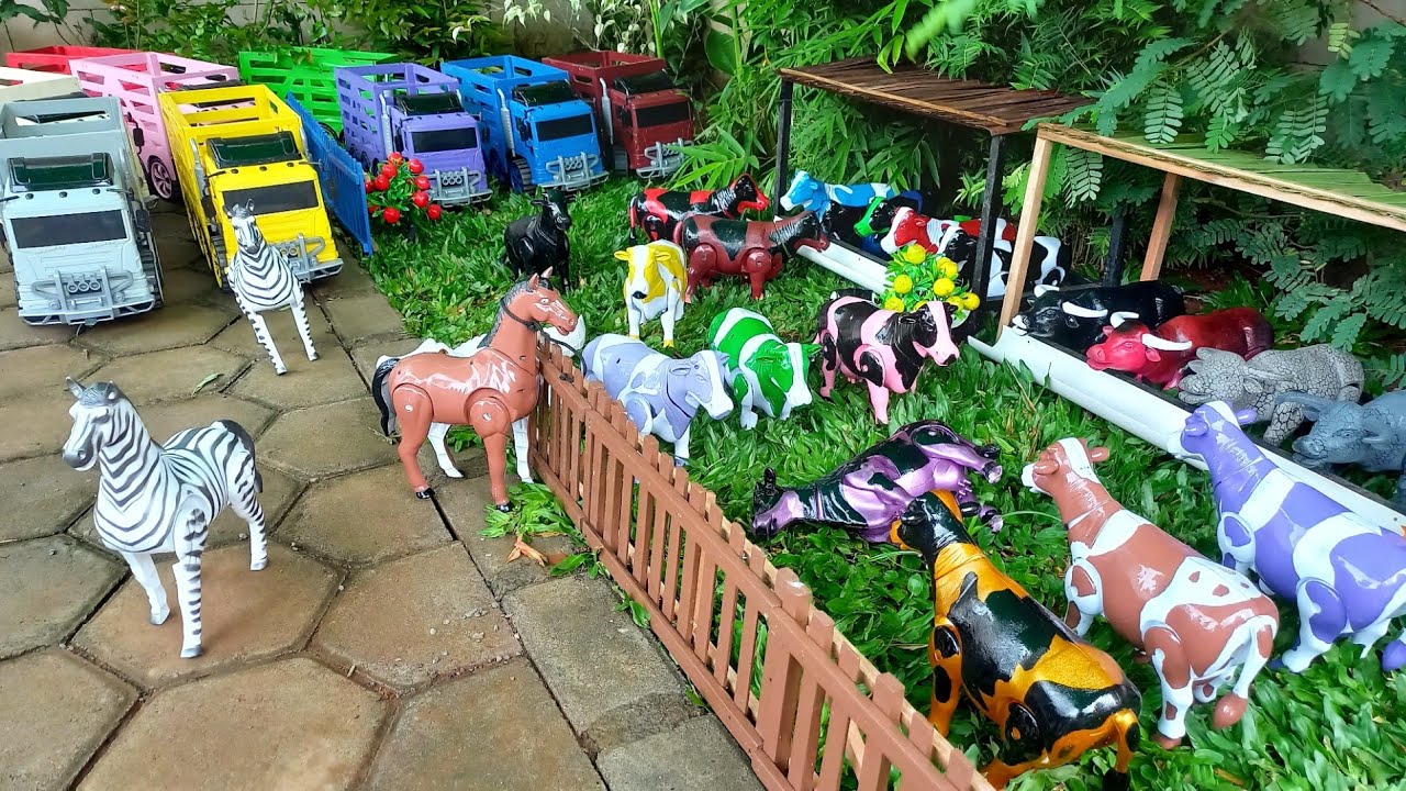 Wadidaw !!! Proses Melahirkan Sapi, Kuda, Kambing, Beruang | Proses Potong Sapi Grandong, Kerbau,