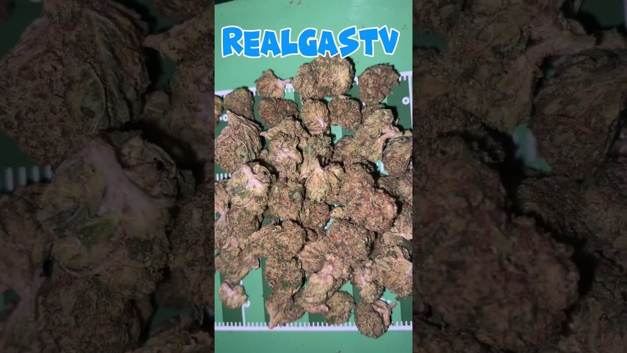 Blue nerds #hempcommunity #weedcommunity #youtube #thcareview