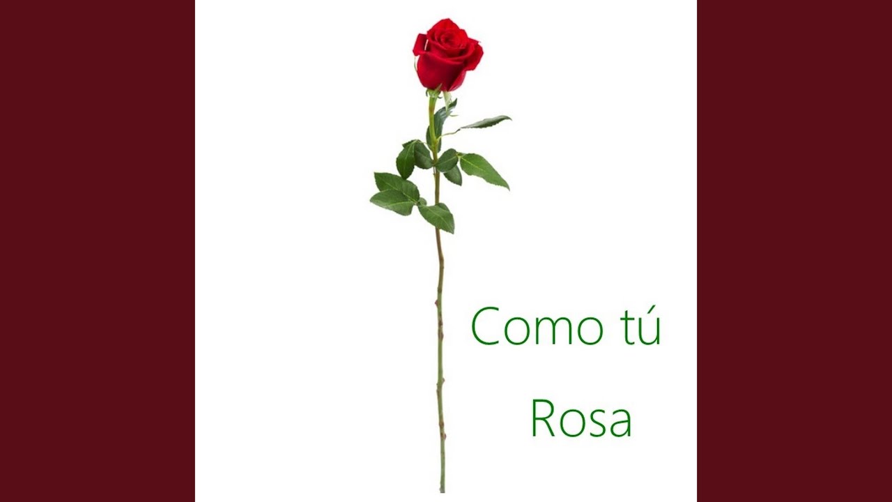 Como tú Rosa