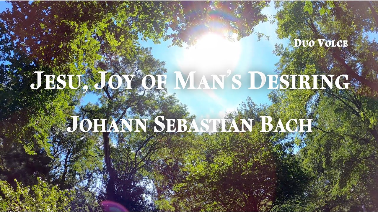 J.S.Bach - Jesu, Joy of Man's Desiring - Duo Volce | Chromatic Harmonica & Violin