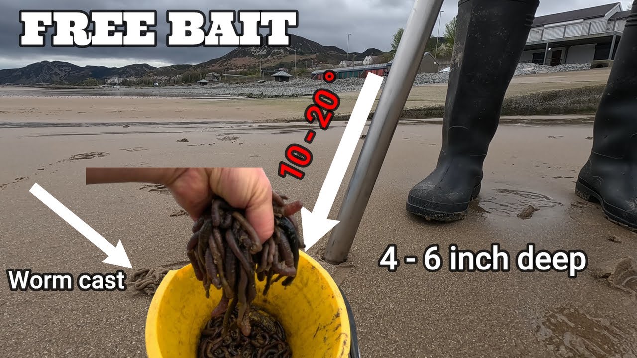 КАК НАКАЧИВАТЬ ЧЕРВЯ | ЛУЧШАЯ УНИВЕРСАЛЬНАЯ НАЖИМКА? | MASTERFISHERMAN | МОРСКАЯ РЫБАЛКА ВЕЛИКОБР...