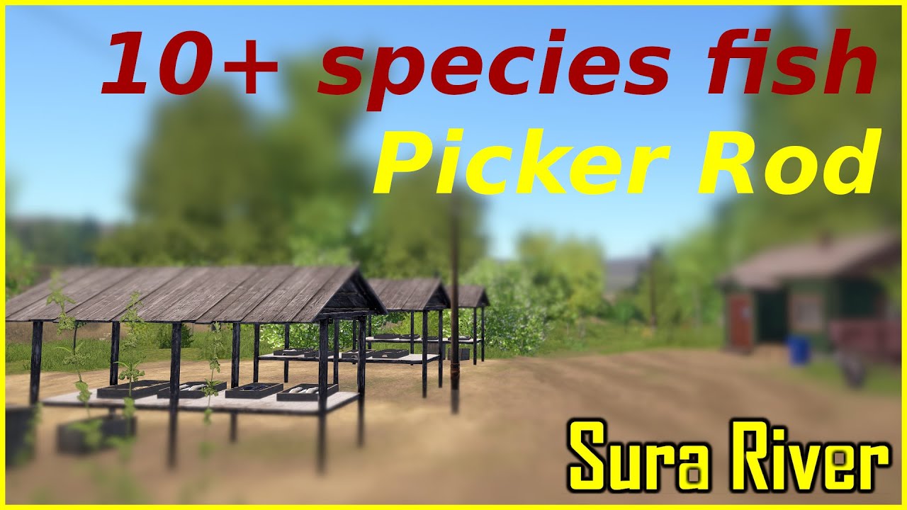 10+ species fish - picker rod spot  SURA RIVER Russian Fishing 4