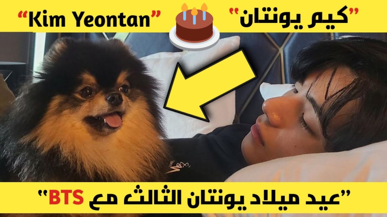 الارمي العالمي يحتفل بمرور ثلاث سنوات ليونتان مع  بيتياس Happy birthday Yeontan