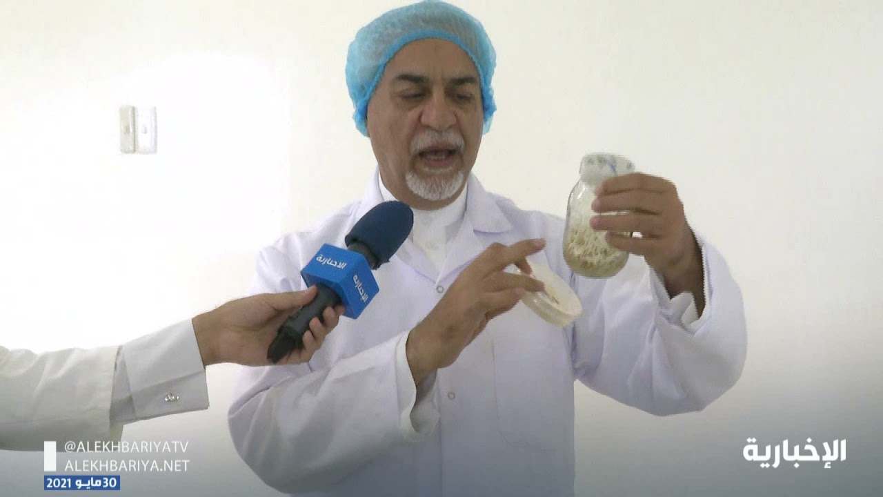 حديث عبد الجبار أبو مرة عن مشروع تكاثر النخيل بالأنسجة