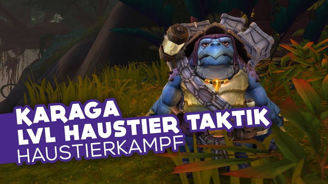 Karaga | LVL Haustier Taktik (BFA Weltquest) - Haustierkampf Guide [WoW]