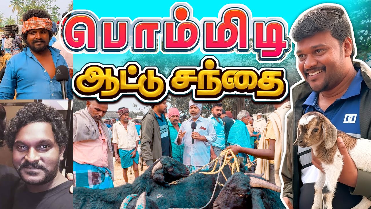 BOMMIDI GOAT MARKET | VLOG | #veejayLifestyle #food #vlog