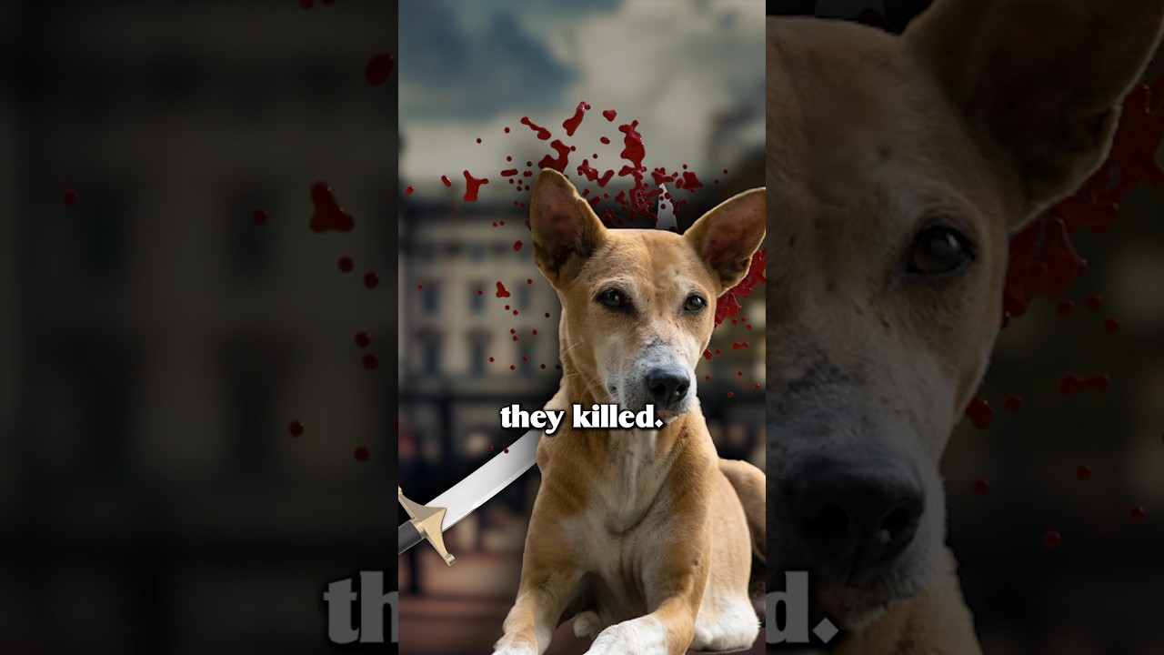 When Mumbai Protested For Stray Dogs | Keerthi History                      #india #history #shorts