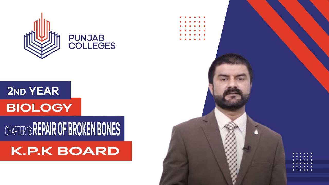 PGC Lectures-Inter Part 2-KPK Board-Biology-Chapter 16 - Repair of Broken Bones