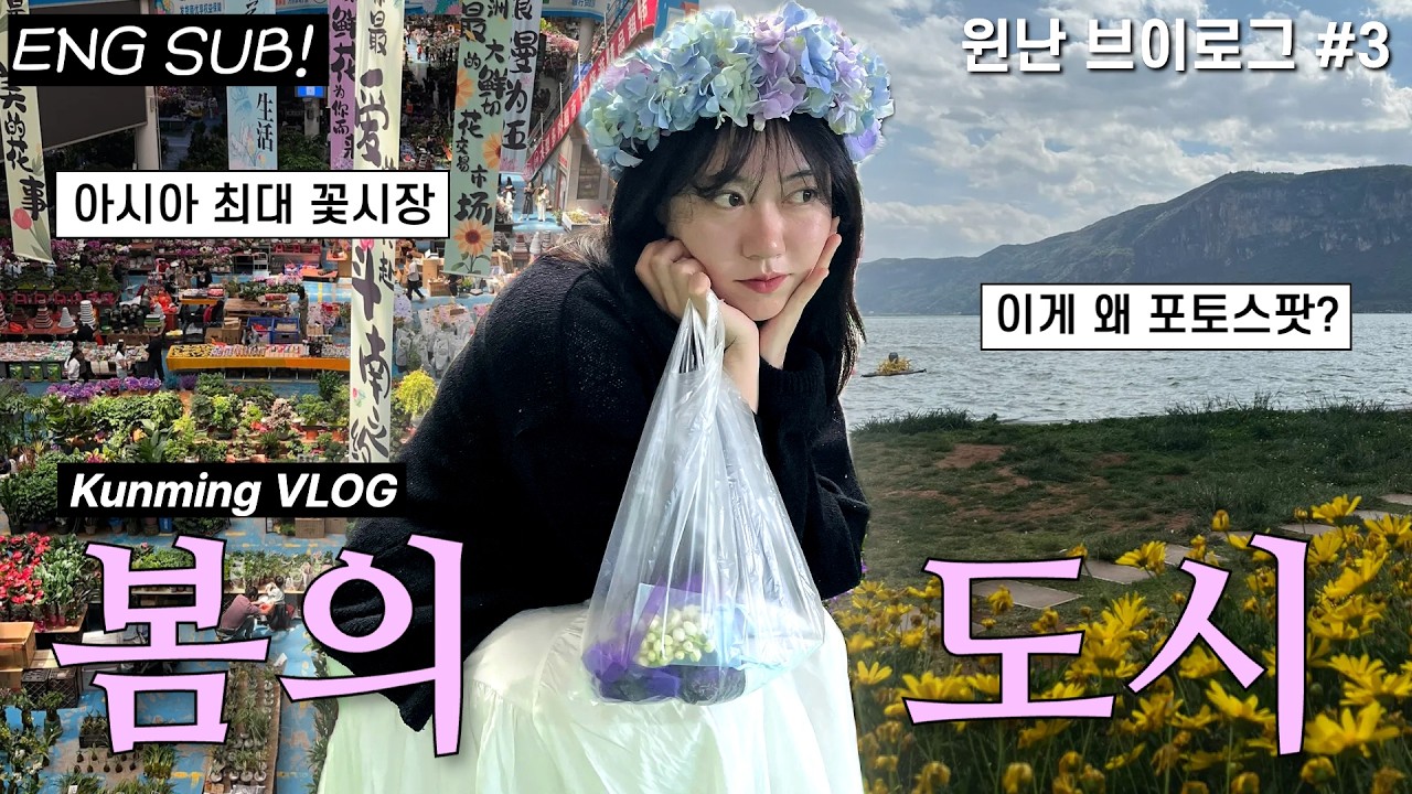 [윈난 여행] 쿤밍이 봄의 도시인 이유🌸 두난 꽃시장 & 뎬츠호 브이로그 | (윈난성 여행 3)