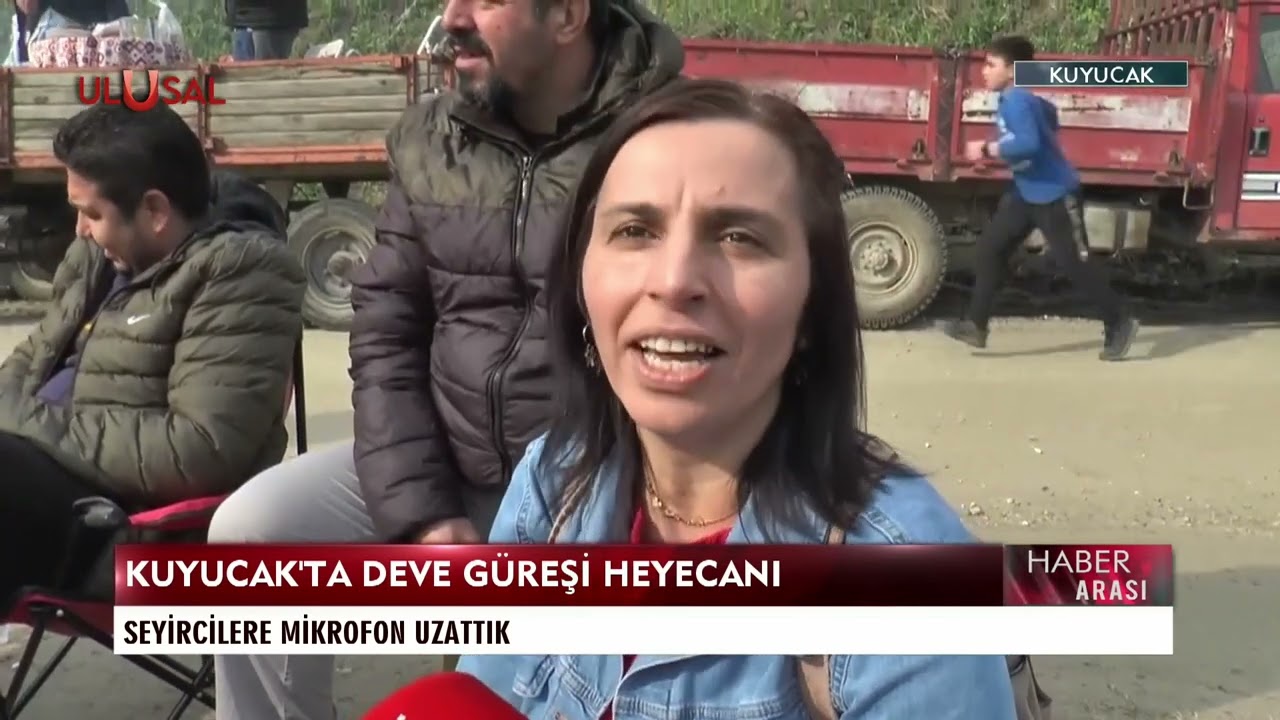 Aydın Kuyucak'ta deve güreşi heyecanı