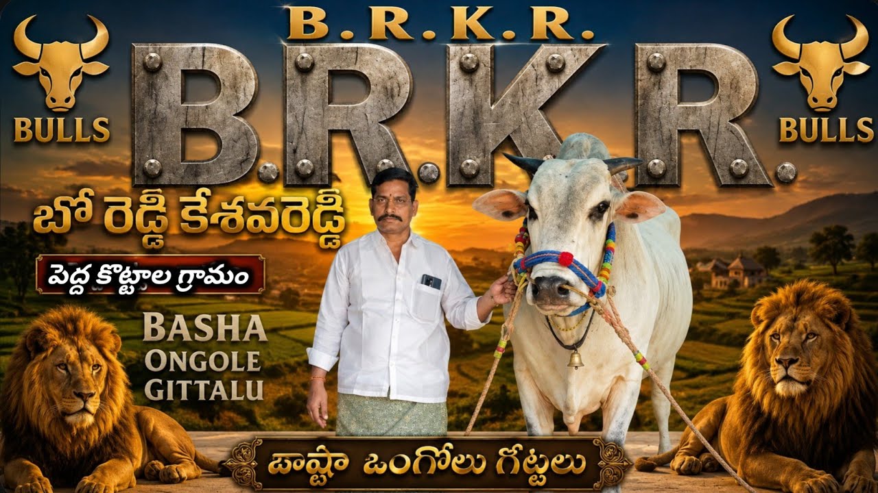2026ఉత్తనూర్ సీనియర్స్ విభాగం  2వ జత కేశవరెడ్డి,పెద్ద కొట్టాల, నంద్యాల జిల్లా(☀️సాంబ & ధర్మ ☀️)